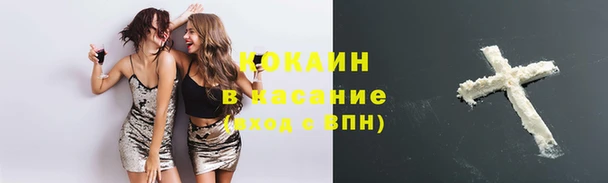 кокс Алзамай