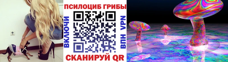 shop клад  Владимир  Псилоцибиновые грибы Cubensis 